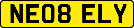 NE08ELY