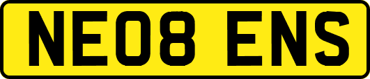 NE08ENS