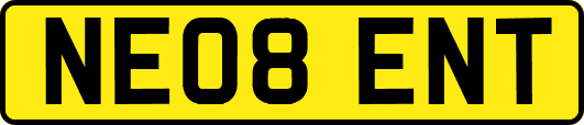 NE08ENT