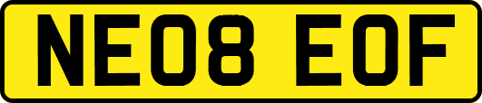 NE08EOF