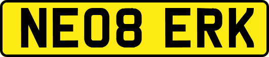 NE08ERK
