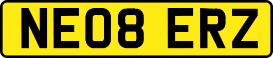 NE08ERZ