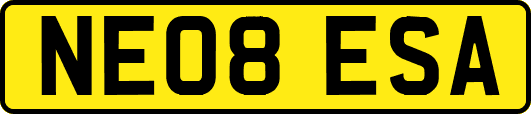 NE08ESA