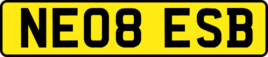 NE08ESB