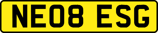 NE08ESG
