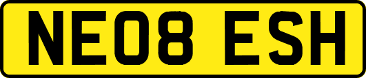 NE08ESH