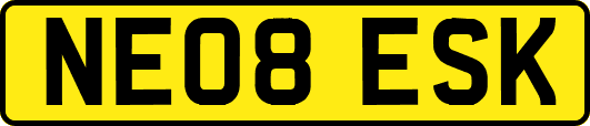NE08ESK