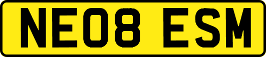 NE08ESM