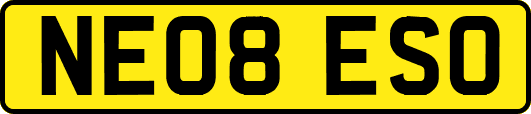 NE08ESO