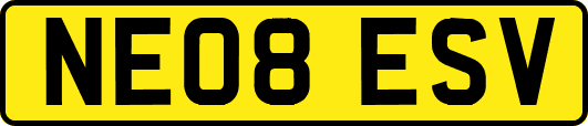 NE08ESV