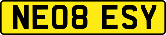 NE08ESY
