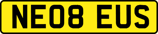 NE08EUS