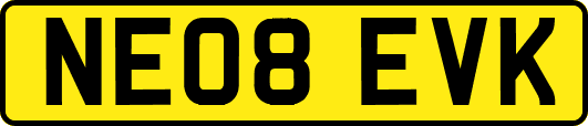 NE08EVK