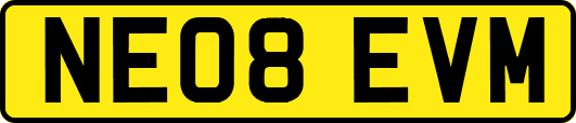 NE08EVM