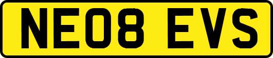 NE08EVS