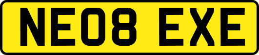 NE08EXE