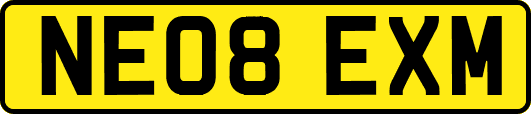 NE08EXM