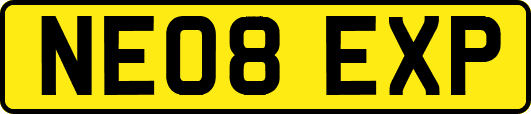NE08EXP