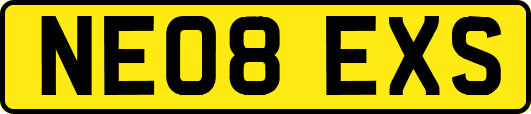 NE08EXS