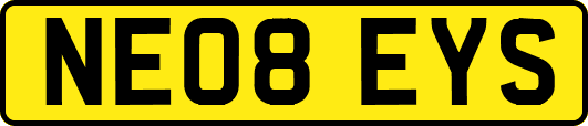 NE08EYS