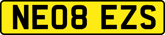 NE08EZS