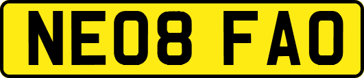 NE08FAO