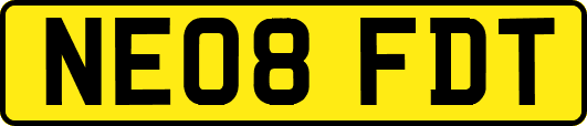 NE08FDT