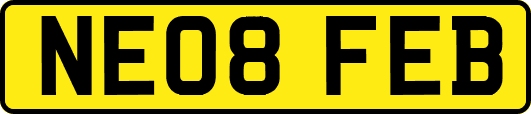NE08FEB