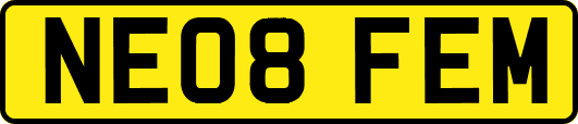 NE08FEM