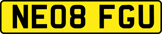 NE08FGU