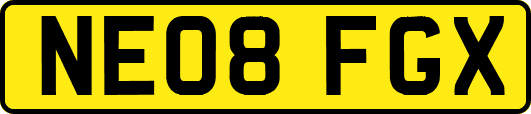 NE08FGX