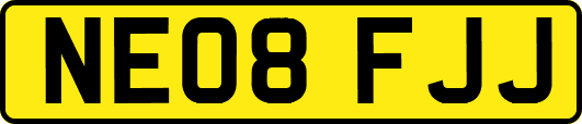 NE08FJJ