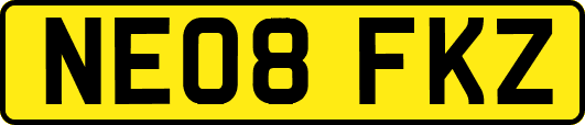 NE08FKZ