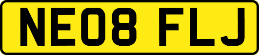 NE08FLJ