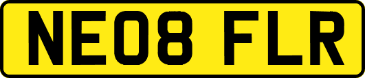 NE08FLR
