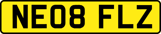 NE08FLZ