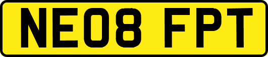 NE08FPT