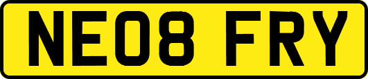 NE08FRY