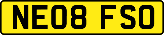 NE08FSO
