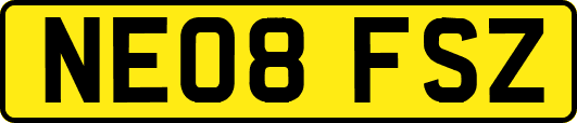 NE08FSZ