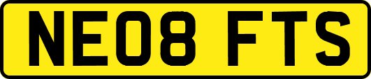 NE08FTS