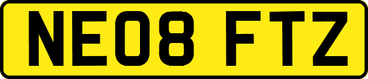 NE08FTZ