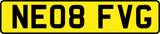 NE08FVG