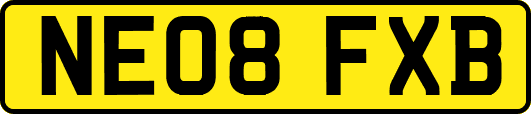 NE08FXB