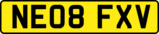 NE08FXV