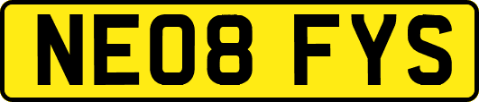 NE08FYS