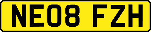 NE08FZH