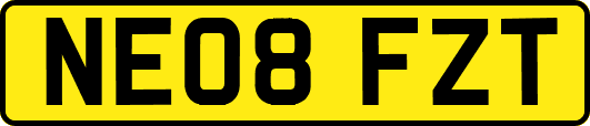 NE08FZT