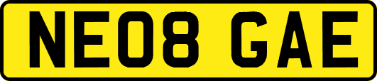 NE08GAE