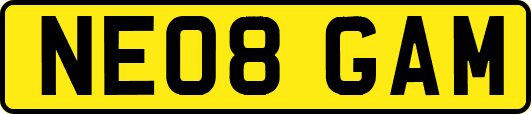 NE08GAM
